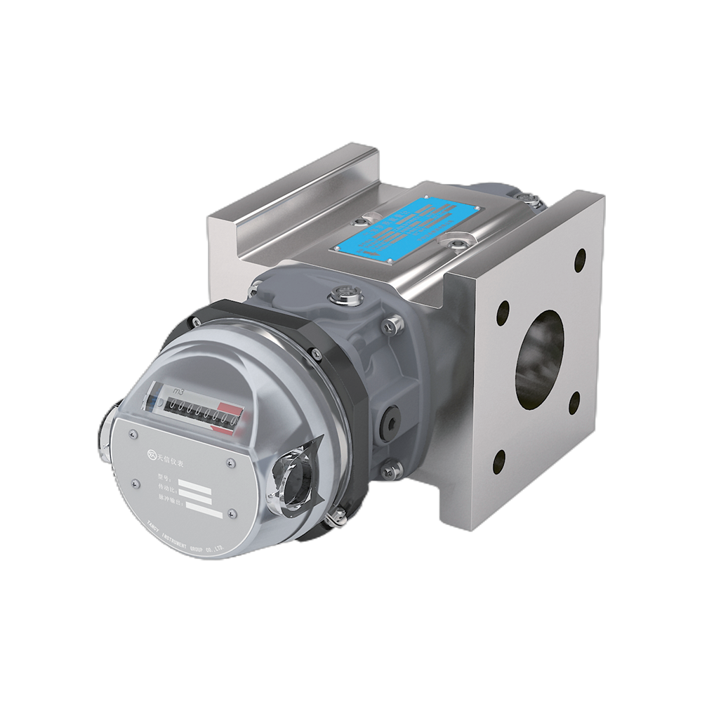 11_TYL Rotary Gas Flowmeter TYL Rotary Gas Flowmeter