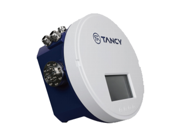 36 TGC Online GasChromatography Analyzer